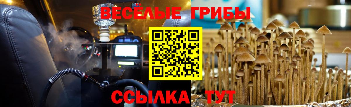 Псилоцибиновые грибы мухоморы Чита